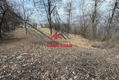 Casă cu Teren 3074 Mp în Cornu - 5