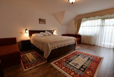 Vanzare domeniu deosebit, vila, anexe si teren cu livada de meri sub padure - 11