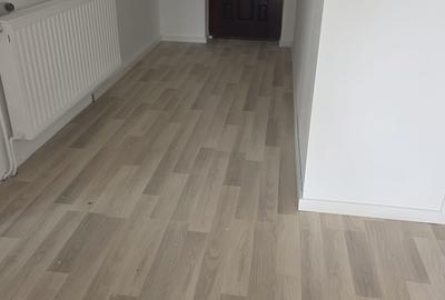 Casă individuală cu 3 camere cu Garaj în Izvin - 2