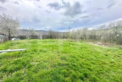 Teren de 728 mp, în Oarda - 1