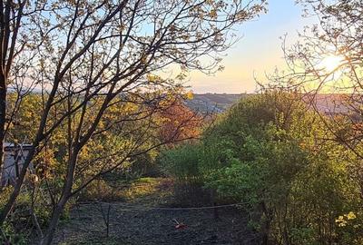 Spațiu comercial, în Valea Lupului - 3