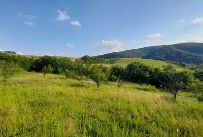 Spațiu comercial, în Cozia - 5