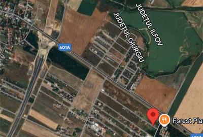 Teren Construcții intravilan de 805 mp, în Bâcu - 1