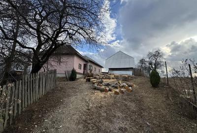 Teren de 24000 mp, în Nucșoara - 3