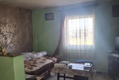 Casă cu 3 camere cu Teren 1326 Mp în Șagu - 8