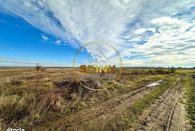 Spațiu comercial, în Tărtășești