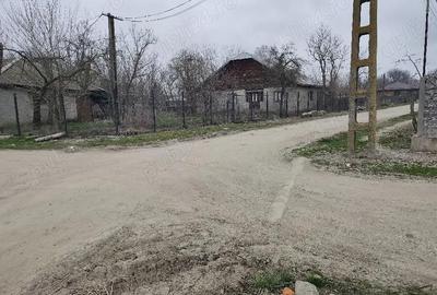 Casă cu Teren 1700 Mp în Băbăița - 2