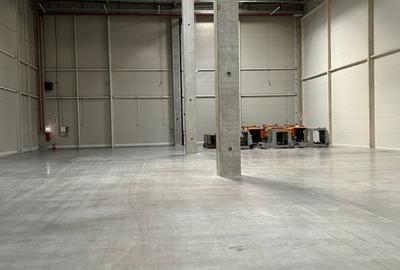 Spațiu cu rafturi pentru Logistică/Depozitare - 7