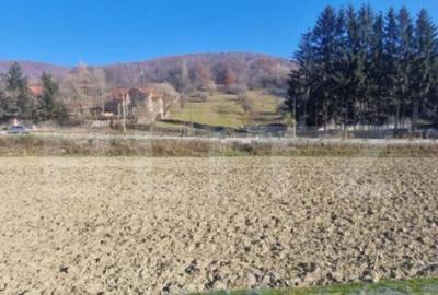 Teren extravilan - Sita Buzaului -6800 mp posibilitate trece - 13