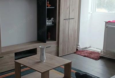 Apartament cu 2 camere semidecomandat în Vulcan - 9