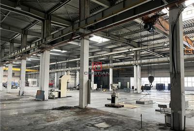 Depozit/hala/spatiu industrial Militari - Timisoara - 9