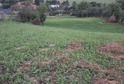 Casa de vanzare! - 3