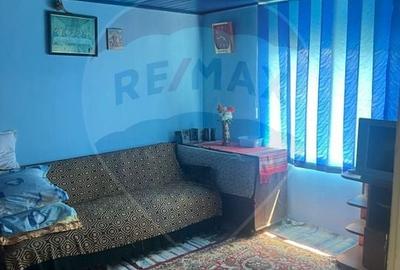 Casă individuală cu 4 camere cu Teren 1324 Mp în Fulga de Jos - 5