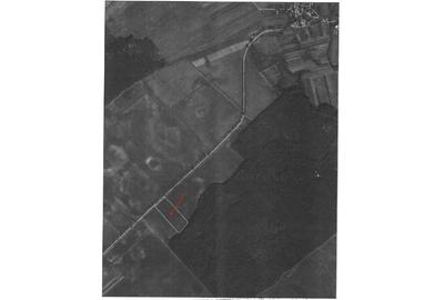 REL4001203 Oportunitate I Teren Intravilan 30.000 mp I Racari I Dambovita - 3