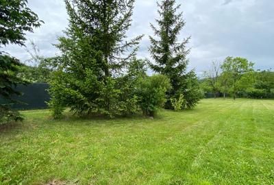 Casa pe parter la liziera padurii, Bascov-Florea, Arges - idealimob.ro - 5