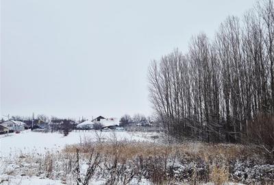 Teren de vanzare in Dorohoi zona de Nord - 3