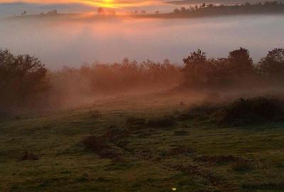 Casă cu 3 camere în Brusturi - 10