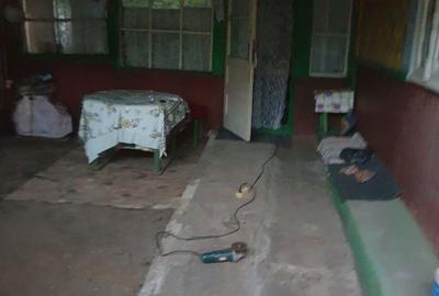 Casă cu 3 camere în Ireasca - 8