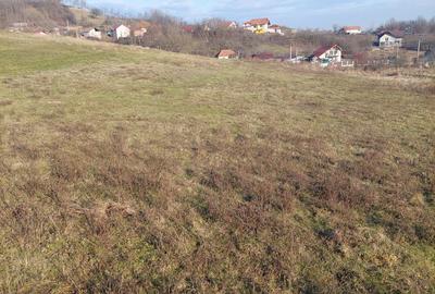 Teren de 1000 mp, în Căzănești - 2