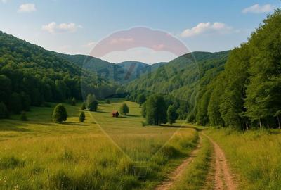 COMISION 0% Teren 6,572 mp/Cur?i construc?ii/ Intravilan - 6