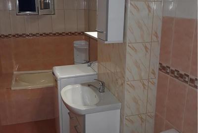 Lacul Tei, aproape Parcul Circului - 12