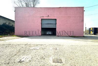 Spațiu industrial, de 218 mp, în Vest - 3