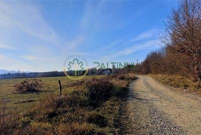 Teren intravilan, 1000 mp cu PUZ - locatie deosebita, Sibiu - Valea Avrigului - 5