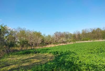 Casă cu 3 camere în Prisăcani - 6