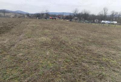 Teren de 3000 mp, în Vața de Jos - 5
