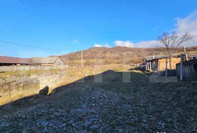 Teren în Jelna - 4