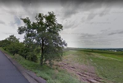 Teren agricol extravilan de 1800 mp, în Răucești - 1