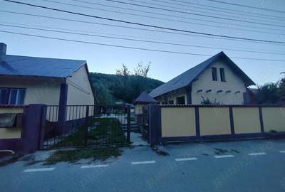 Gospodarie langa Deva - 1