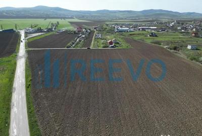 Teren de 1800 mp, în Nicolae Bălcescu - 7