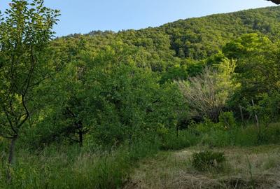 Sarata Bai- Oportunitate investitie- 4038 mp- priveliste spectacol - 6