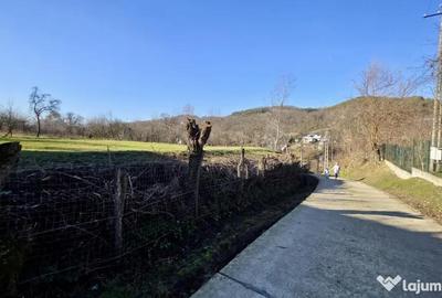 Teren de 4549 mp, în Gura Vitioarei - 7