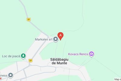 Casă individuală cu 2 camere cu Teren 1000 Mp în Săldăbagiu de Munte - 1