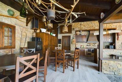 Pensiune de Lux pe Malul Dunarii in Dubova - 3