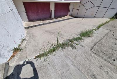 Ovidiu-vila D+P+1+M libera aproape de lac - 2