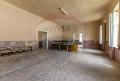 Conac aristocratic secolul XIX , domeniu  2,5 hectare -- Paulis, Arad - 10