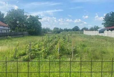 Teren de 2500 mp, în Cârcea