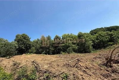 Teren de 1000 mp, în Orașul Vechi - 4