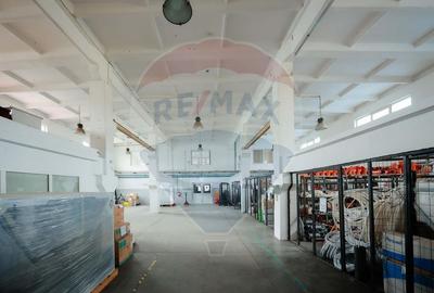 Spațiu industrial, de 1,249.0799560547 mp, în Exterior Vest - 4