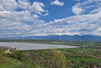 Casa in satul Colun ,cu D+P inalt ,sura mare si 1100mp teren - 5