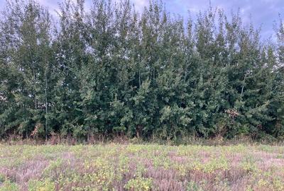 Teren cu vedere la Padure, rate 2-4 ani, 621mp, in zona Paradisul Verde - 8