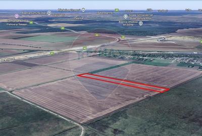 Teren agricol extravilan de 12500 mp, în Dumbrava - 6