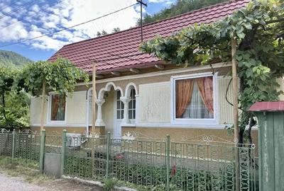 Casa de vacanta de vanzare - 3