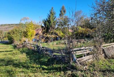 Casă cu 2 camere în Ulieș - 2