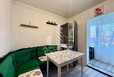 Apartament cu 2 camere decomandat în Lipovei - 13
