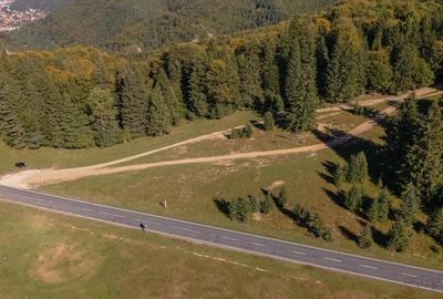 Teren Construcții intravilan de 10440 mp, în Drumul Poienii - 10