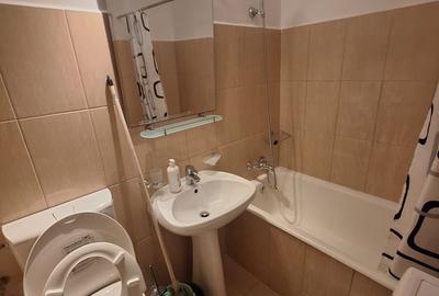 Garsoniera spatioasa de inchiriat Calea Vitan - 10